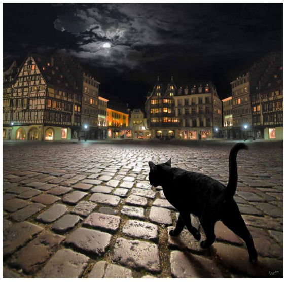 Михаил Сафронов