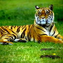 Юлия Бевзенко