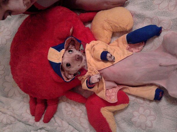 Марина Троян