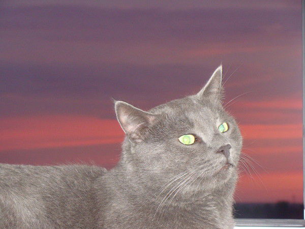 Сергей Столчнев