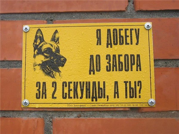 Виталий Лазарев