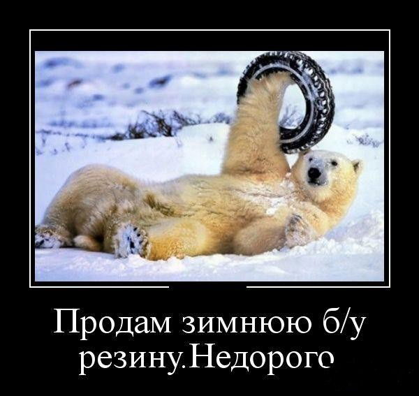 Сергей Зайцев