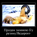 Сергей Зайцев