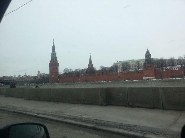 Сергей Брянский Лес