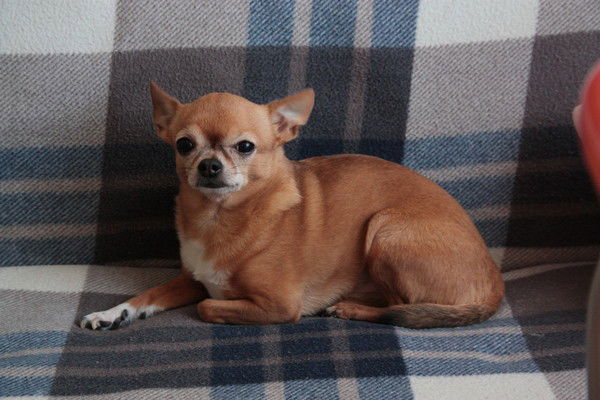 Тамара Кудинова