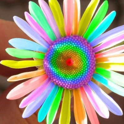 Регина Тамарова