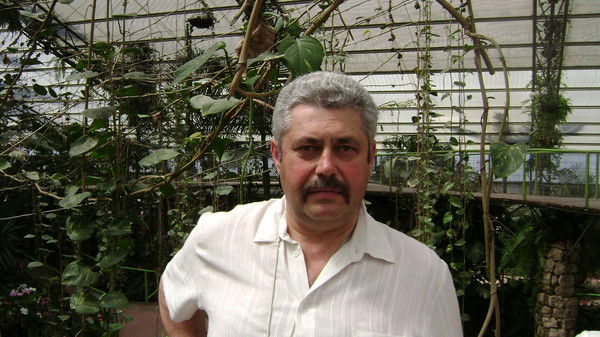 Александр Велицкий