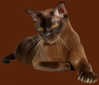 Евгений Забиров