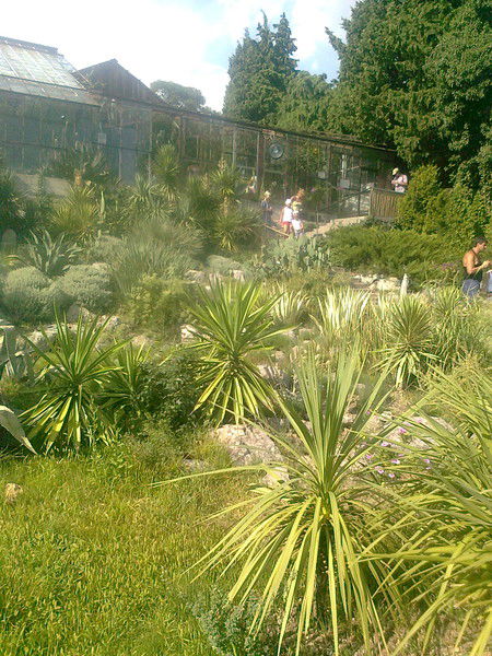 Наталия Емельяненко