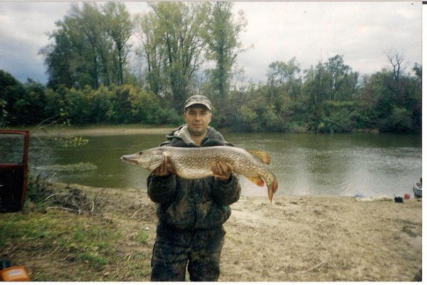 Александр Богданов