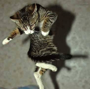 Вячеслав Костоглод