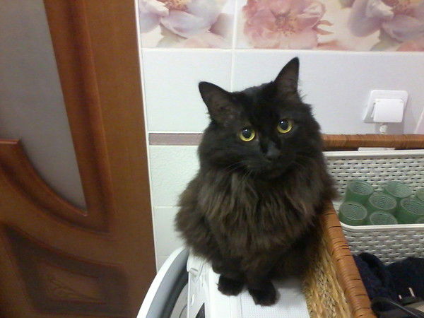 Михаил Калюжнов