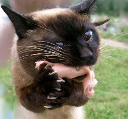 Вячеслав Митрохин