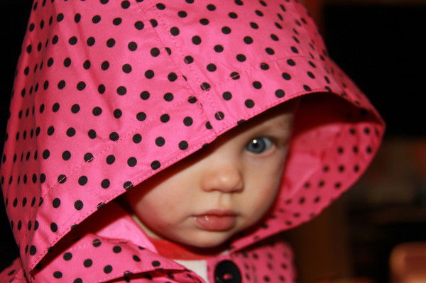 Ткаченко Дмитрий