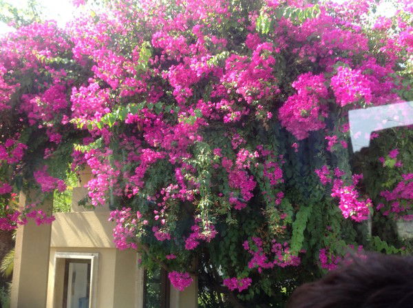 Татьяна Супрун