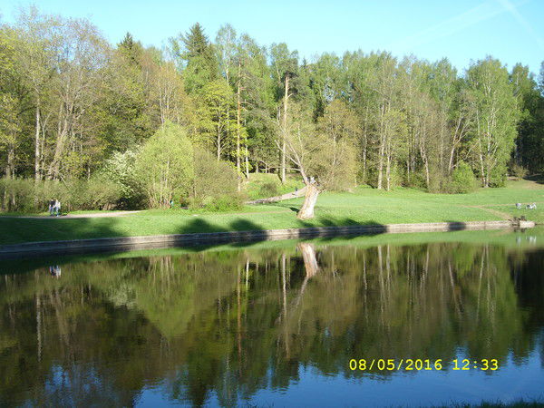 Константин Черняк