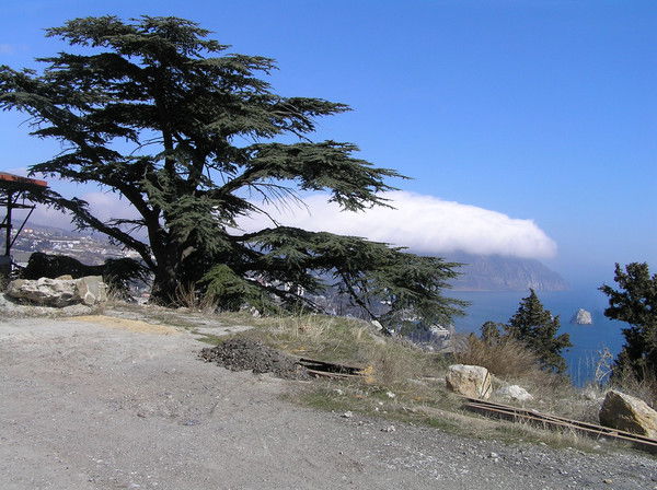 Неизвестно Неизвестно