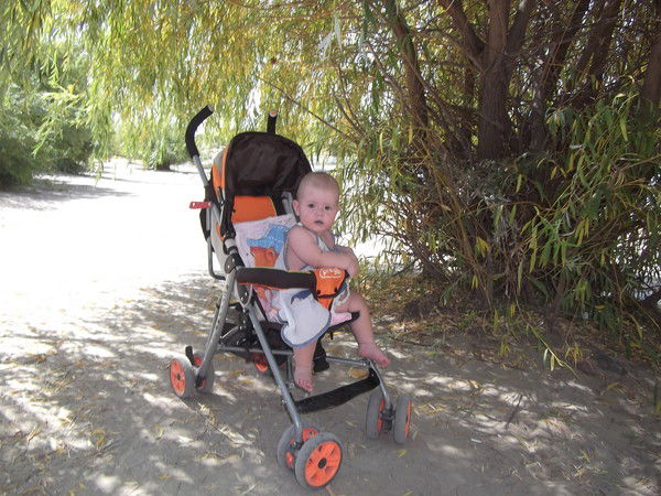 Евгений Петров