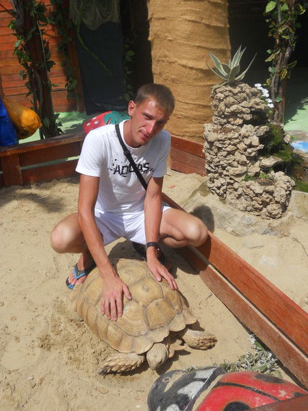 Александр Вокин