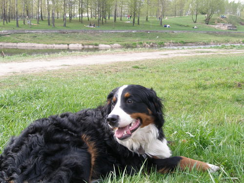 Сергей Яшин