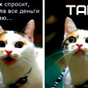 **ди@н@** Калиакпаровна