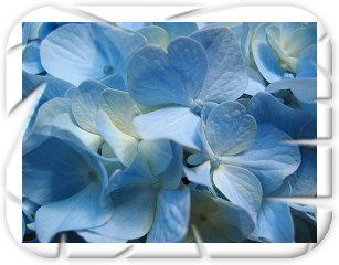 Зухра Ильясова