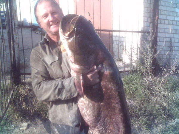 Вячеслав Стульников