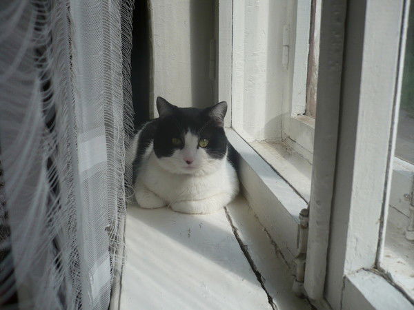 Владимир Клешнин