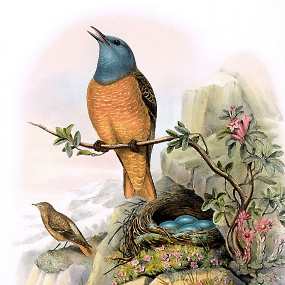 Мария Гордова