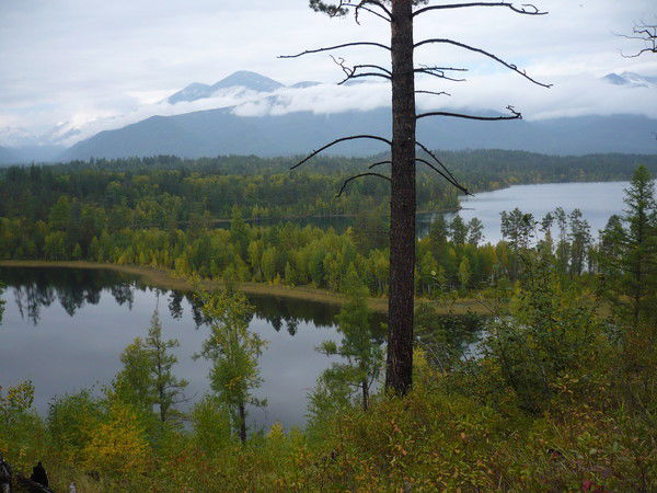 Антон Кузнецов