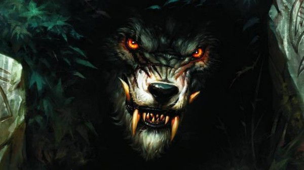 Замир Рапагатов