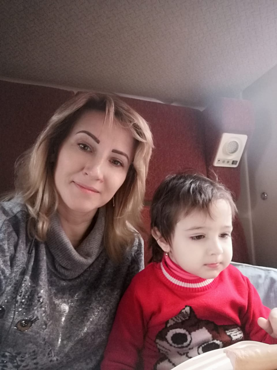 Елена Акишина