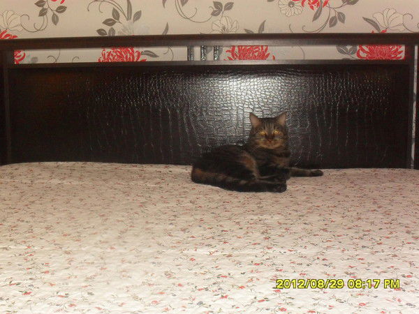 Олеся Кутищева