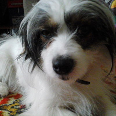 Лера Саитова