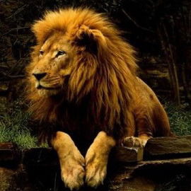 Рустам Исхаков