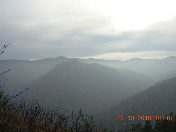 Сергей Мошкин