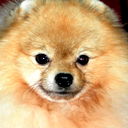 Марина Китанина