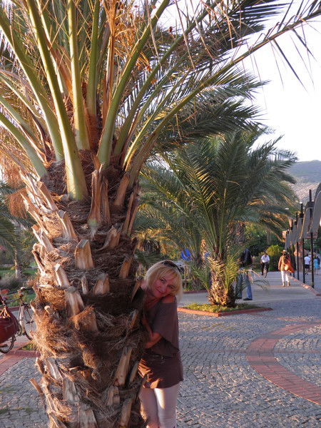 Елена Солтыс (Бодак)