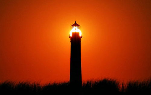 Алекс Кузнев