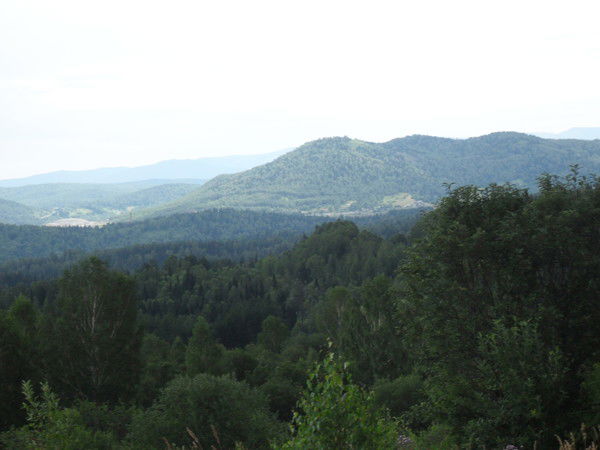 Николай Куприянов