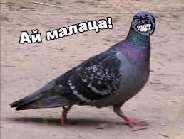 Фира Ходжамирова