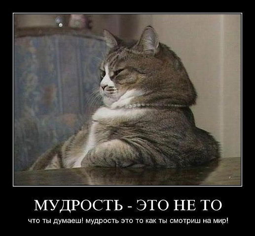 Евгений Якимов