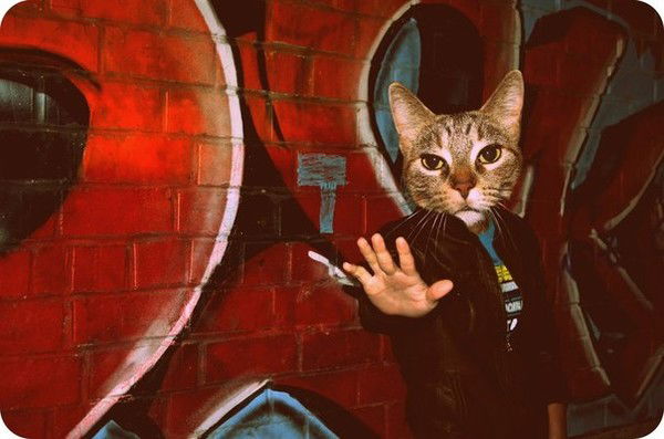 Максим Горин