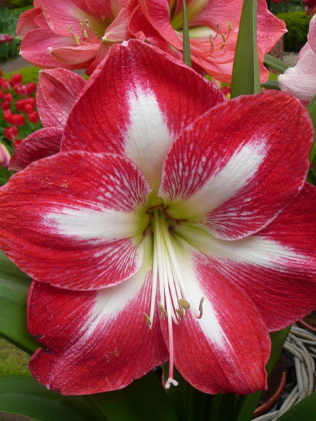 Сергей Максименко