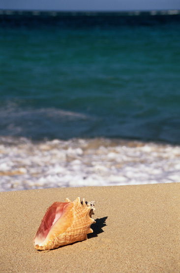 Дмитрий Бубнюк