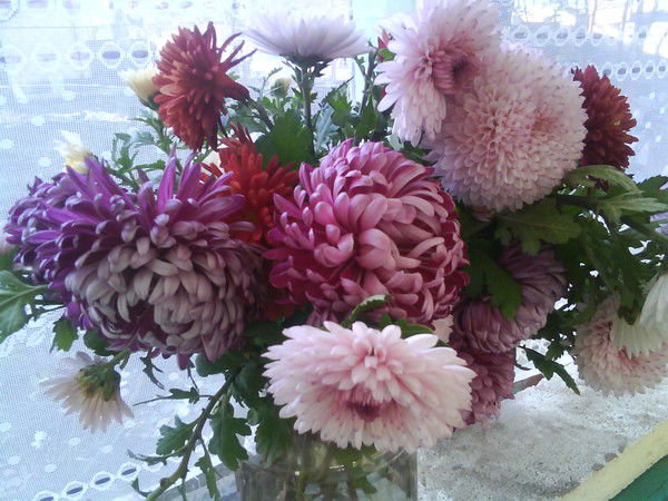 Ирина Яровая(Лукашевич)