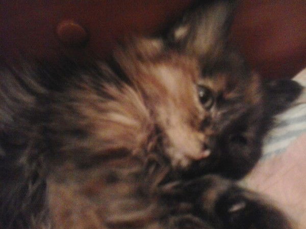 Юлия Калугина