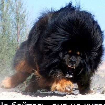 Артур Ажбаев