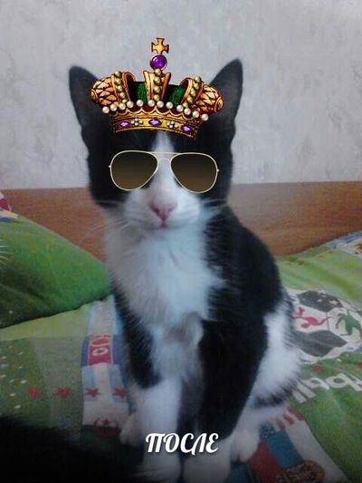 Тимур Макаров