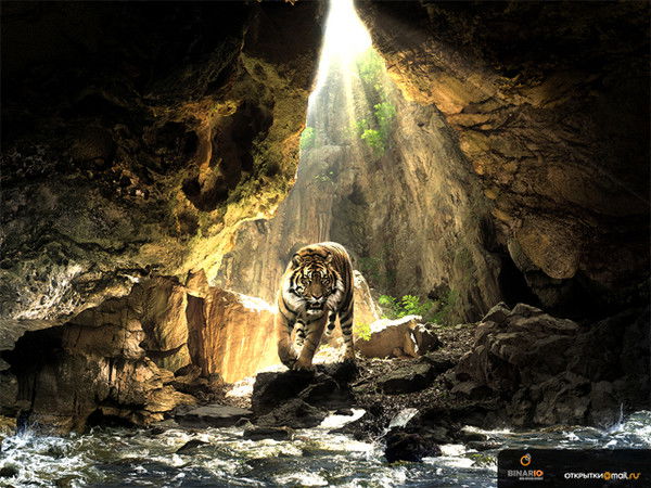 Алмас Бекмухамбетов